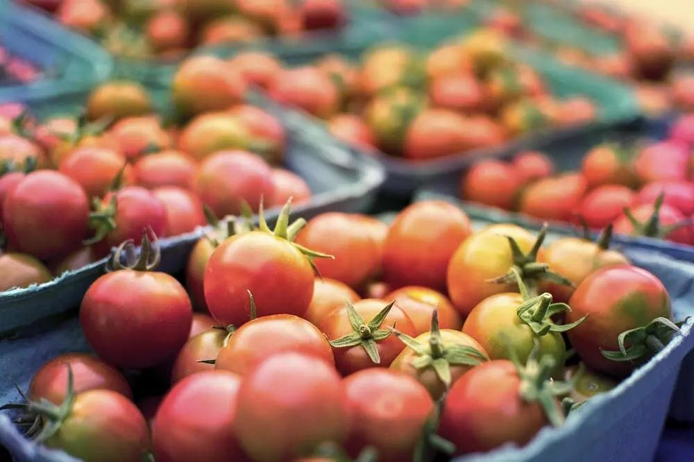Fresh vegetable harvest, the foundation of L'Enclume's farm-to-table menu