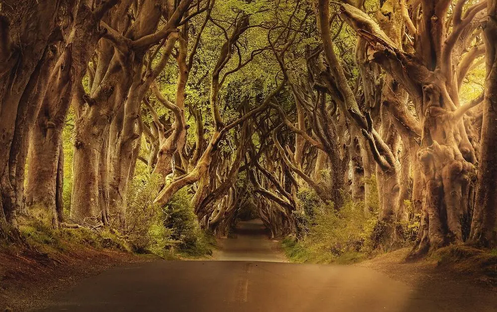 OX, Belfast — Belfast, Northern Ireland